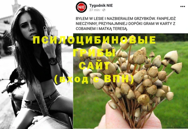 мефедрон мука Богородицк