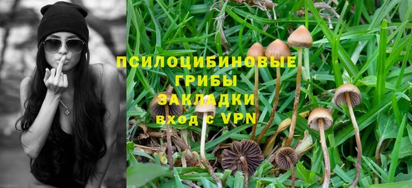 mix Белокуриха