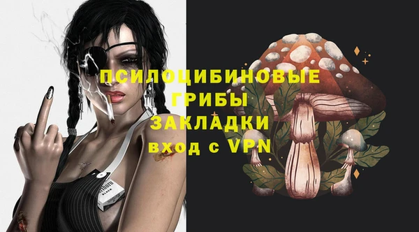 а пвп мука Богданович