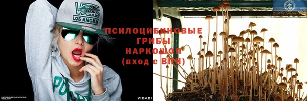 apvp Богородск