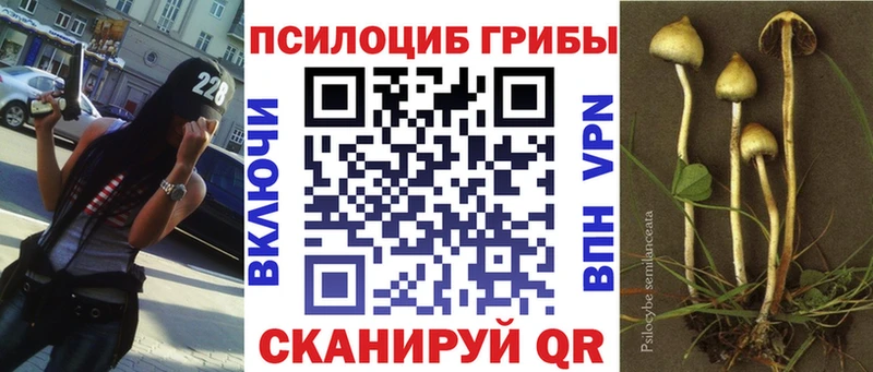 купить наркоту Кузнецк Галлюциногенные грибы MAGIC MUSHROOMS